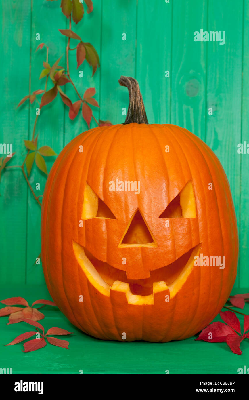 Halloween-Kürbis vorne auf grünem Hintergrund Stockfoto