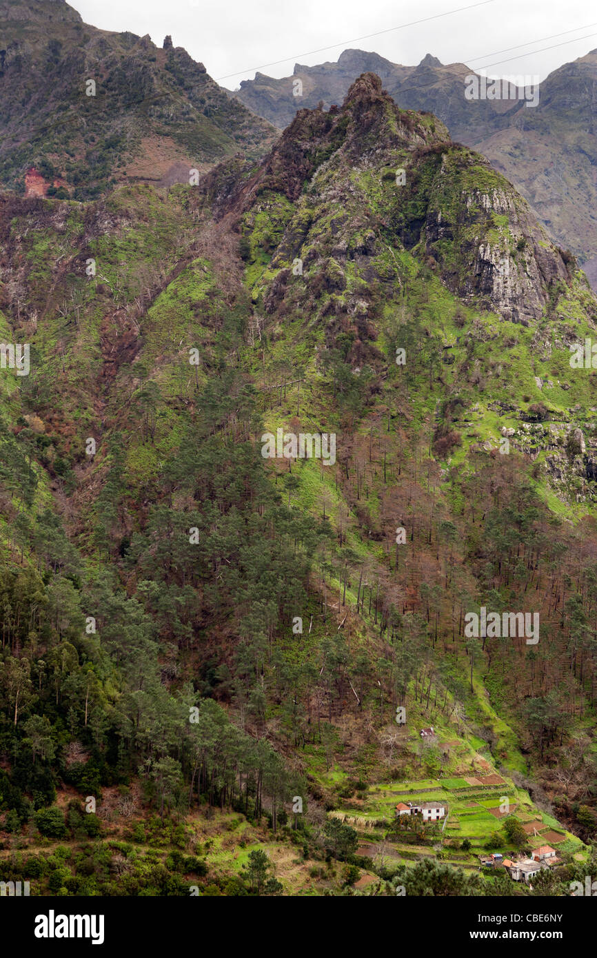 Berglandschaft in Madeira Stockfoto