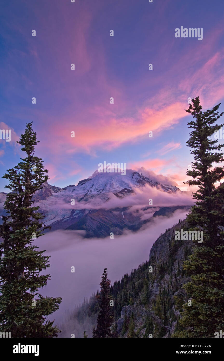 Mount Rainier vom Gletscher Aussichtspunkt auf Sunrise Rim Trail; Sunrise-Bereich, Mount-Rainier-Nationalpark, Washington. Stockfoto