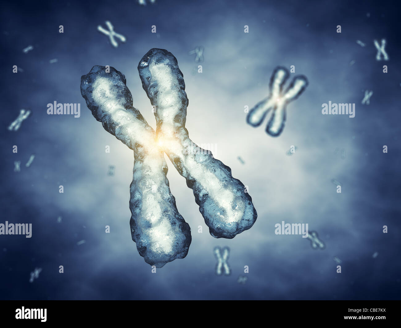 Chromosomen, Gentechnik Stockfoto