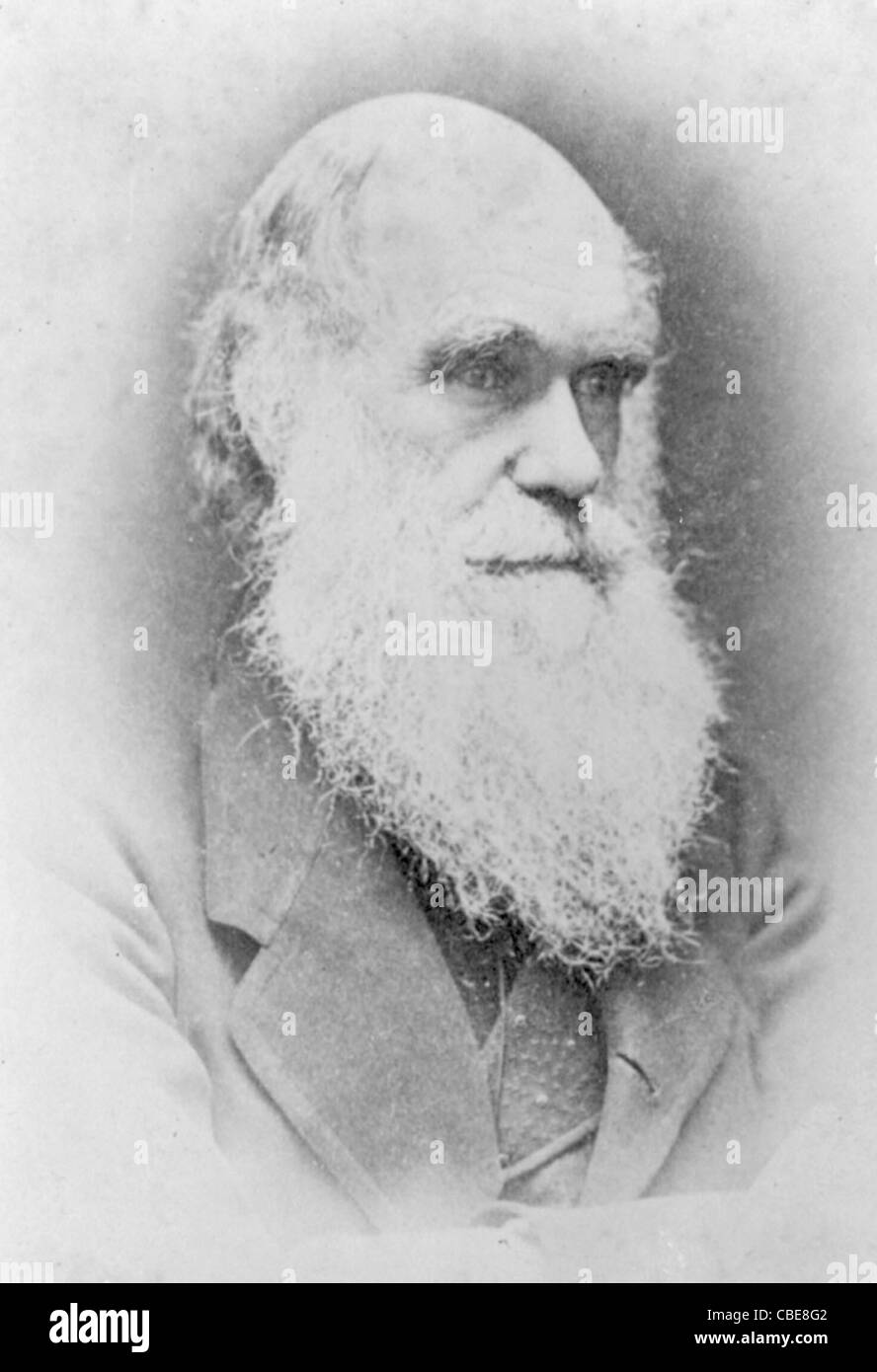 Charles Darwin Stockfoto