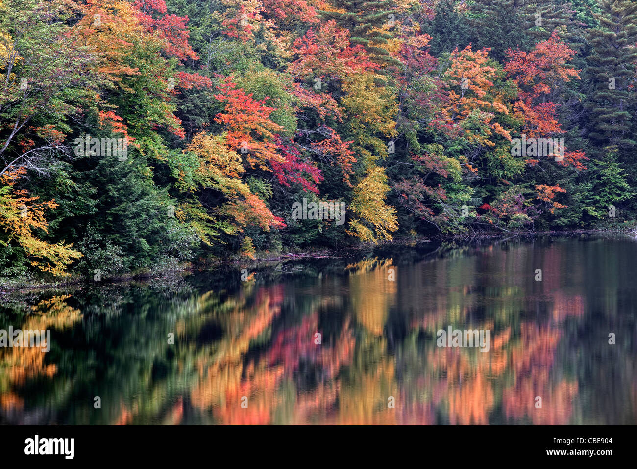 Leuchtenden Herbst Farben von Hiawatha National Forest und Michigans obere Halbinsel spiegeln im Ort See und Alger Grafschaft. Stockfoto