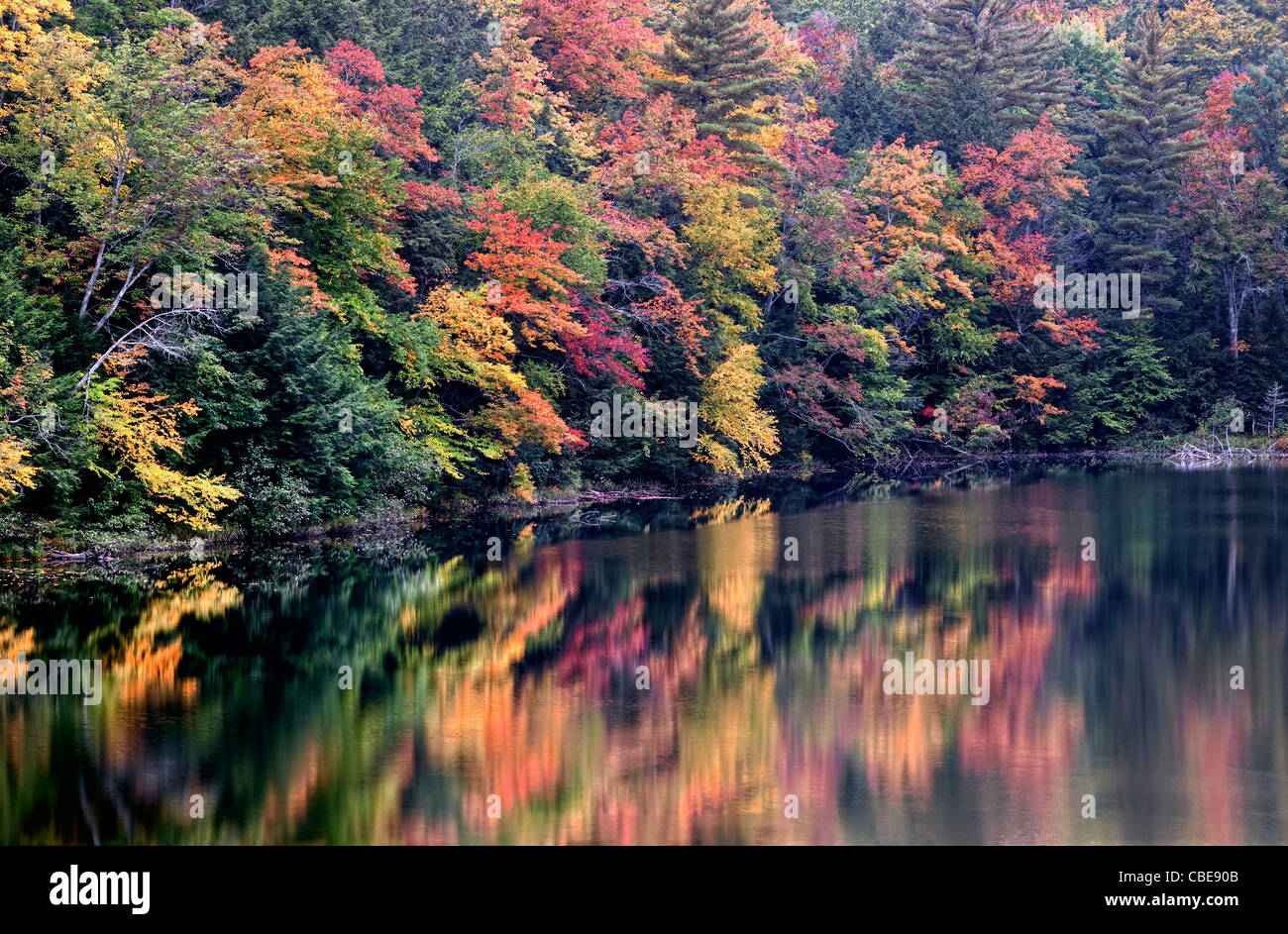 Leuchtenden Herbst Farben von Hiawatha National Forest und Michigans obere Halbinsel spiegeln im Ort See und Alger Grafschaft. Stockfoto