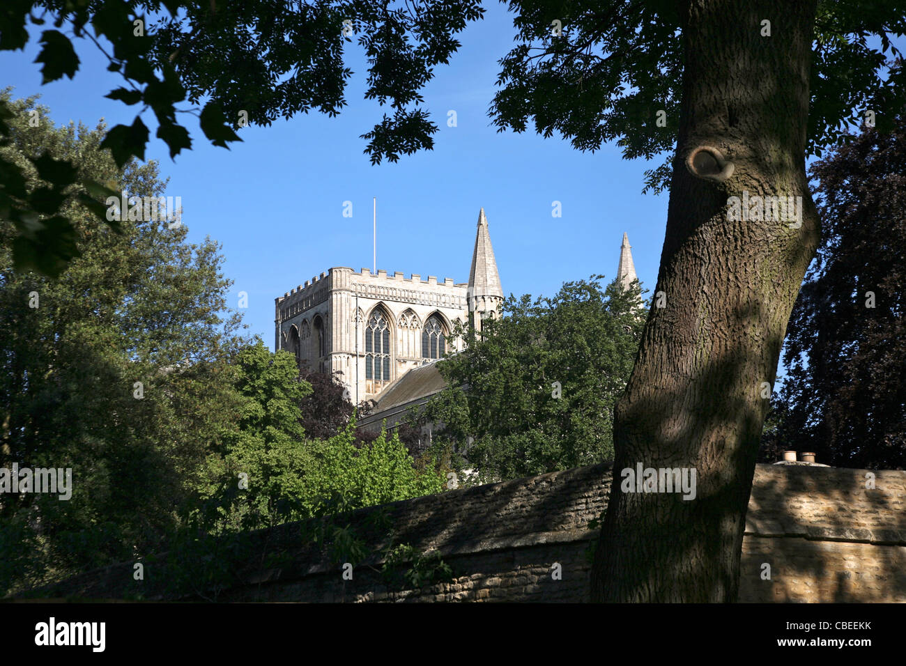 Ansicht von Peterborough Kathedrale (Cathedral Church of St. Peter, St. Paul & St Andrew) Stockfoto