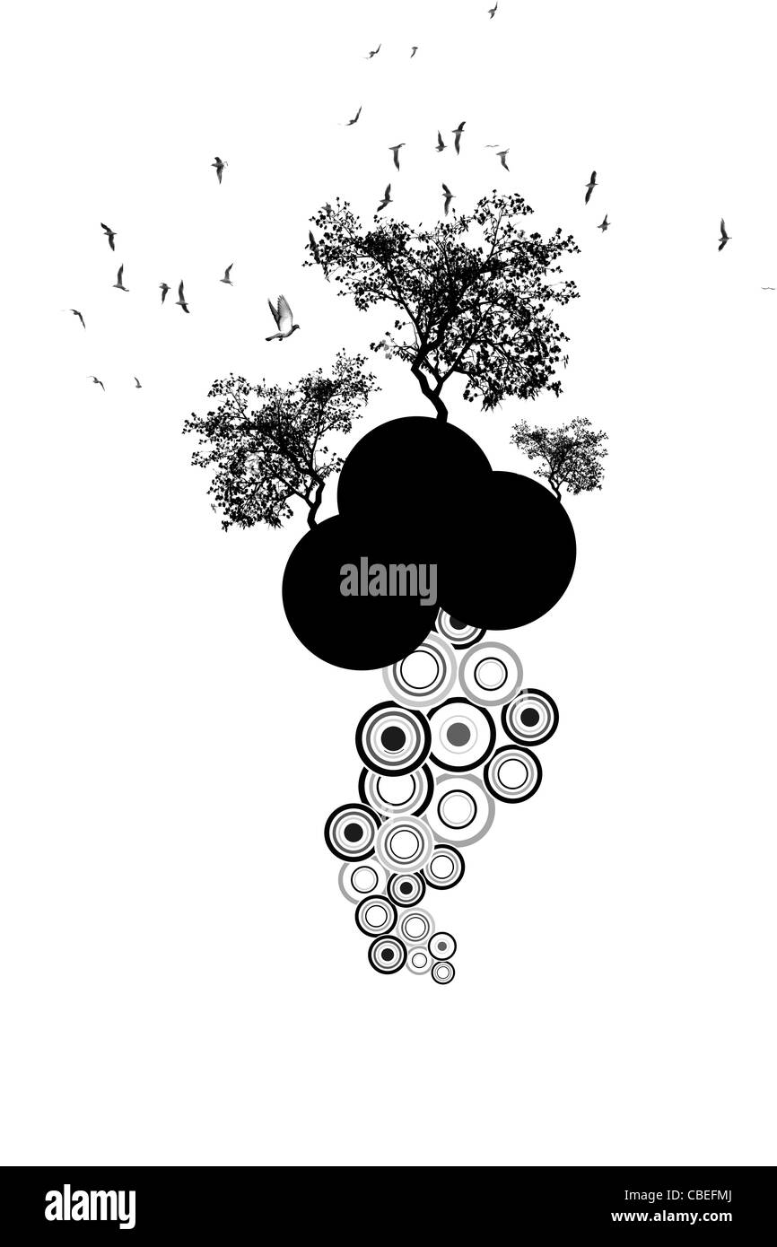 Schöne Silhouette der Bäume und Vögel Stockfoto