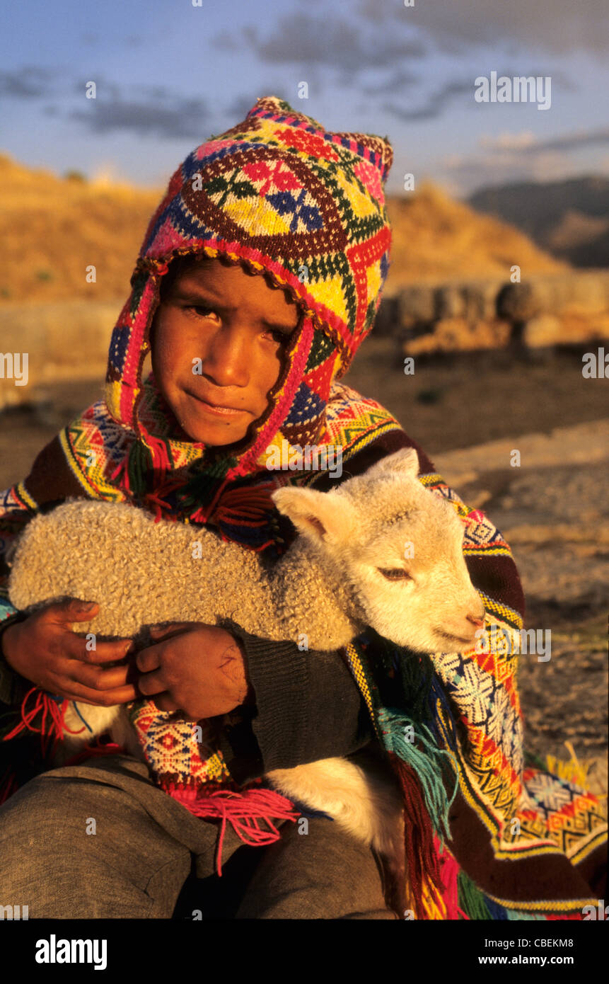 Sachsayhuaman, Peru. Junge in traditioneller Kleidung hält eine junge Lama "Fohlen". Stockfoto
