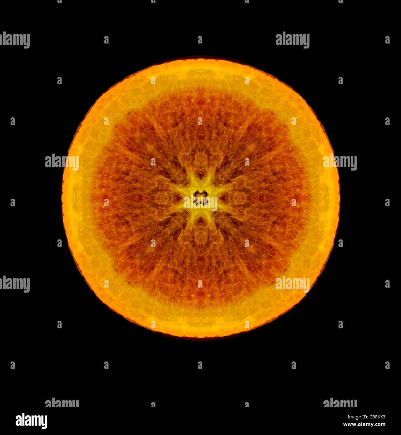 Citrus Sinensis, Orange, Orange cross-Abschnitt Slice Thema, schwarzer Hintergrund. Stockfoto