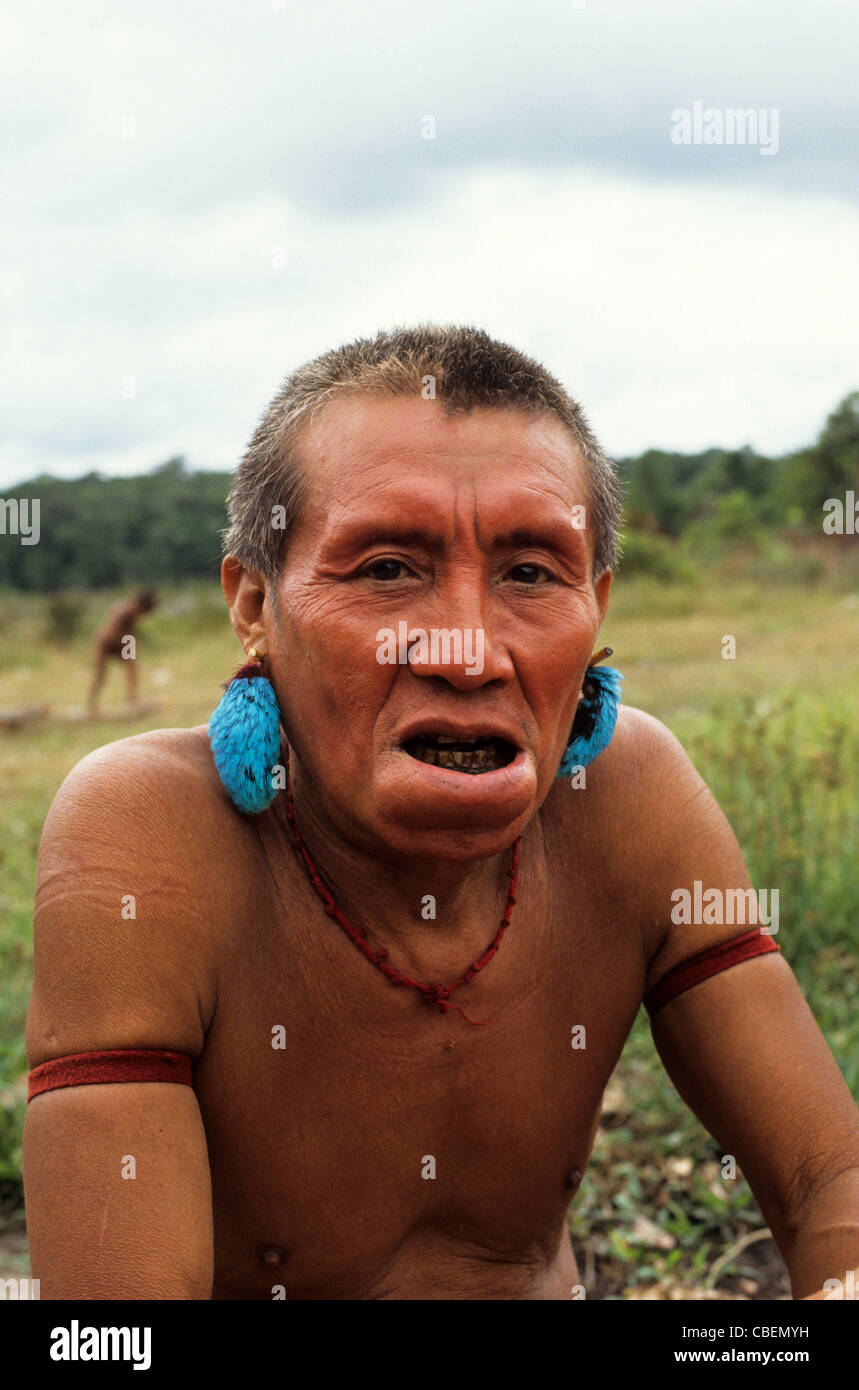 Roraima, Brasilien. Yanomami-Mann mit Bündel Blätter in seinem unteren Lippe und Türkis Ohr Dekorationen. Stockfoto