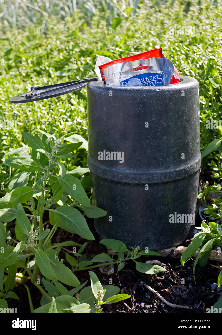 Bär beständig Lebensmittel Lagerung Kanister. Alaska. USA Stockfoto