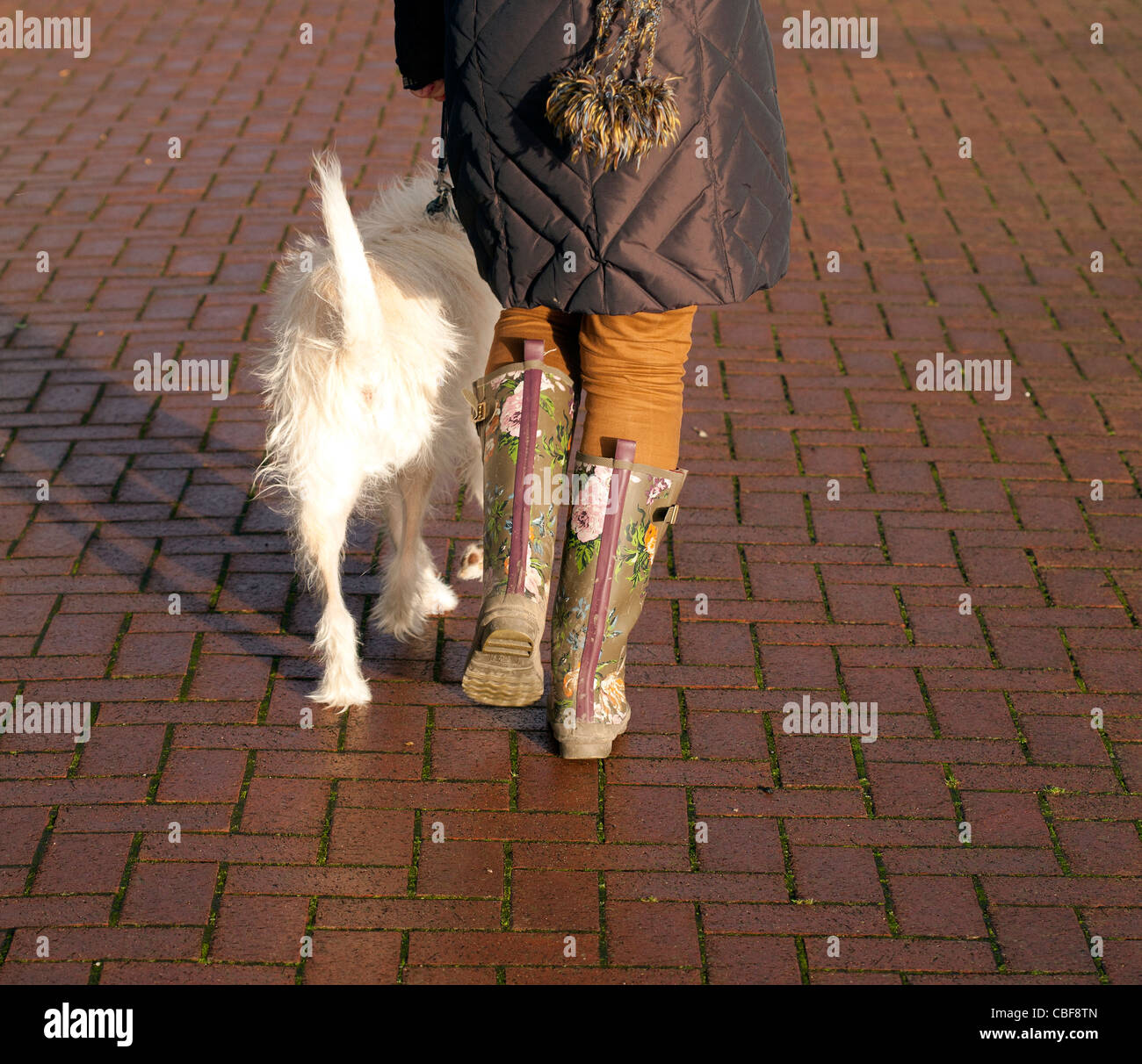 Eine Frau trägt Gummistiefel in Fleetwood während des Gehens eines Hunds Stockfoto