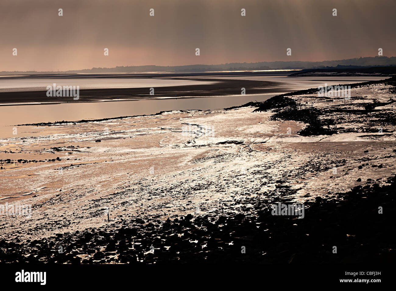 Mudbanks bei Ebbe außerhalb Lydney Hafen am Fluss Severn England UK Stockfoto