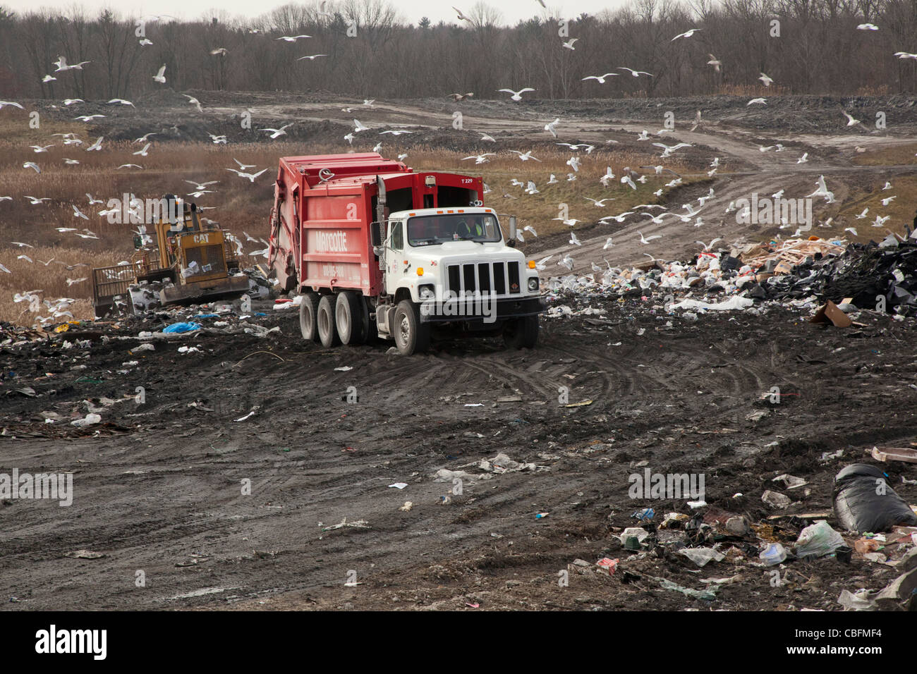 Smiths Creek, Michigan - Deponien ein LKW Müll im St. Clair County Smith Creek Deponie. Stockfoto