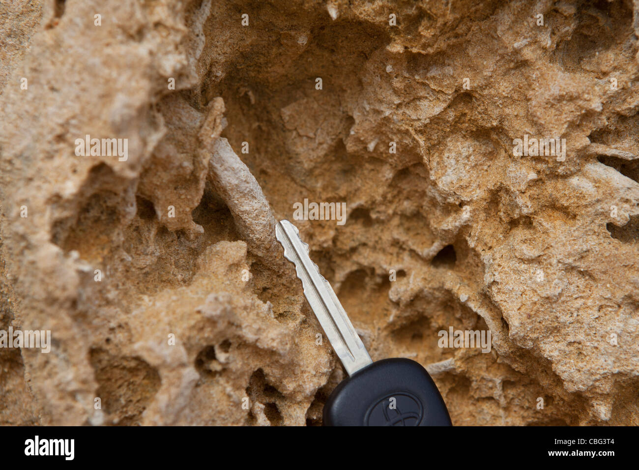 Detaillierte Aufnahme Hervorhebung Spur Fossilien Leben in Kalkfelsen des Nambung National Park, Western Australia, The Pinnacles, WA Stockfoto
