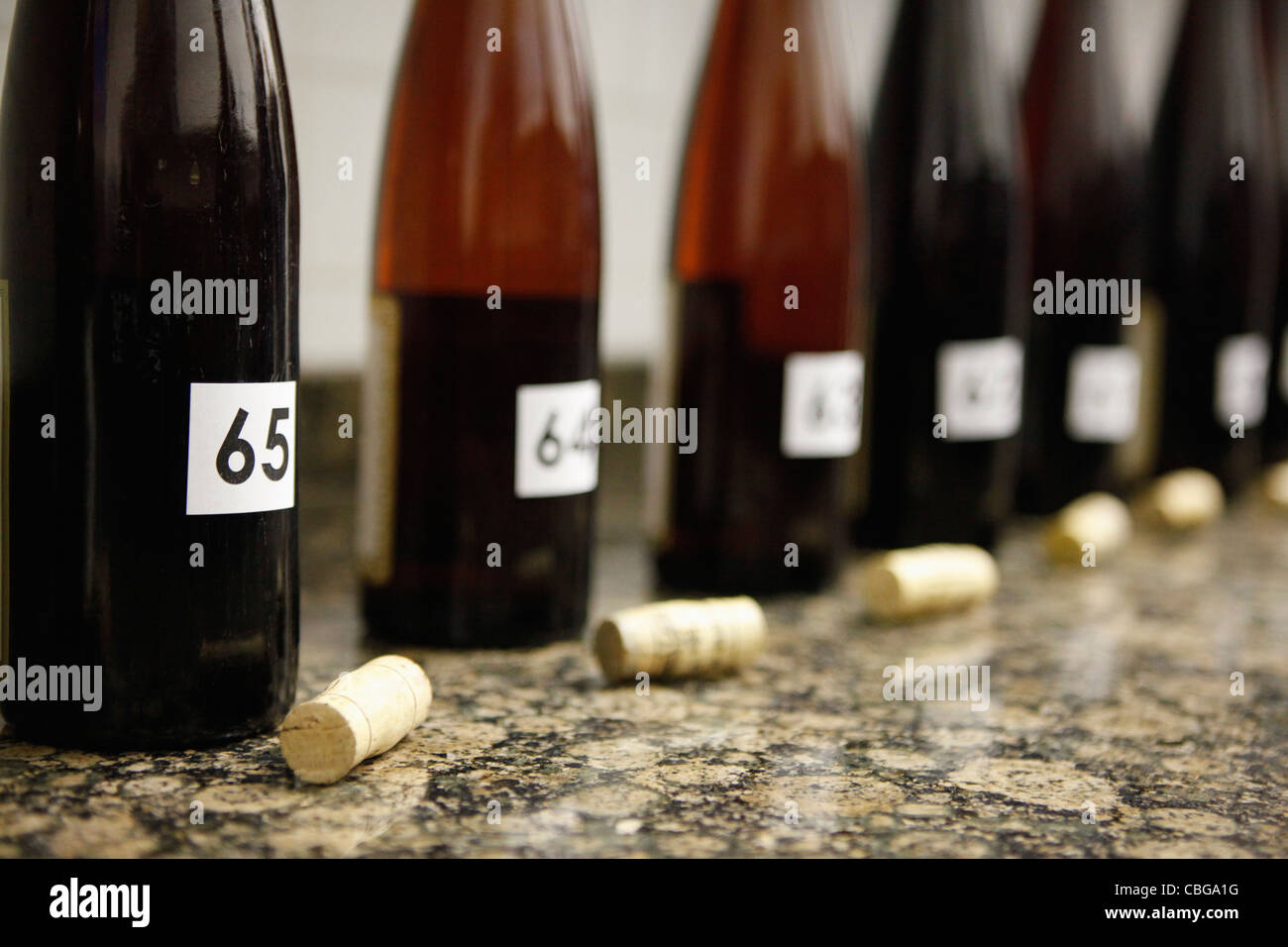Reihe von nummerierten entkorkt Weinflaschen für Weinproben eingerichtet Stockfoto