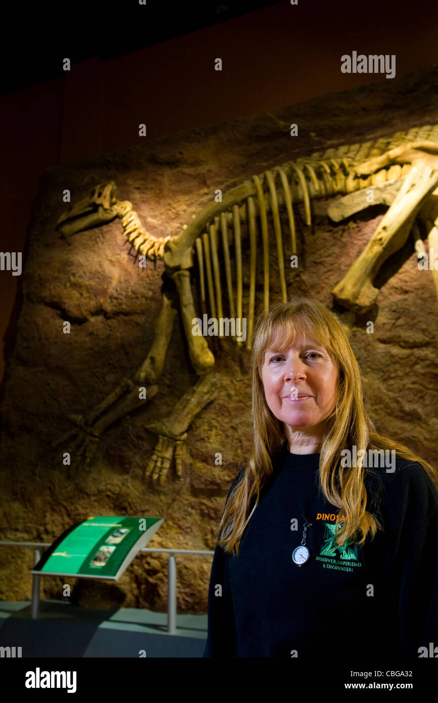 Penny Newbury. Paläontologe, Dinosauriermuseum, Sandown, Isle of Wight, England, Großbritannien, Rekonstruktion, Iguanodon, Skelett, Modell, Bernissartensis Stockfoto