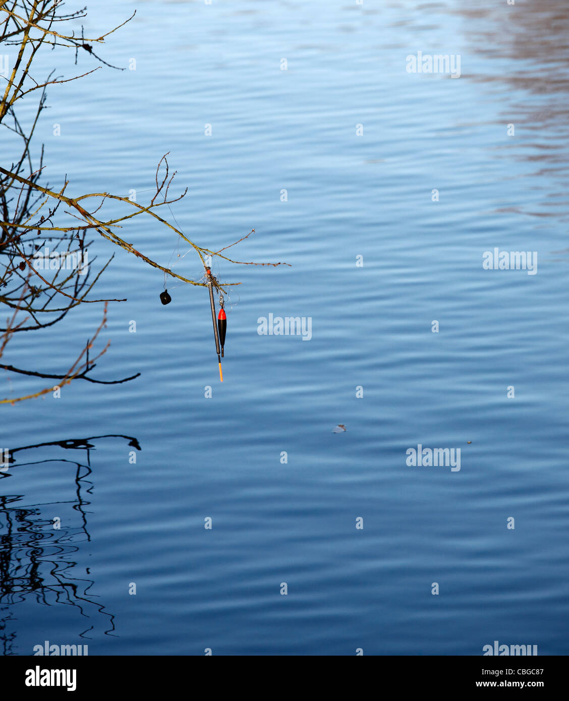 Fishermans Schwimmer und Fischerei Linie im Baum Stockfoto