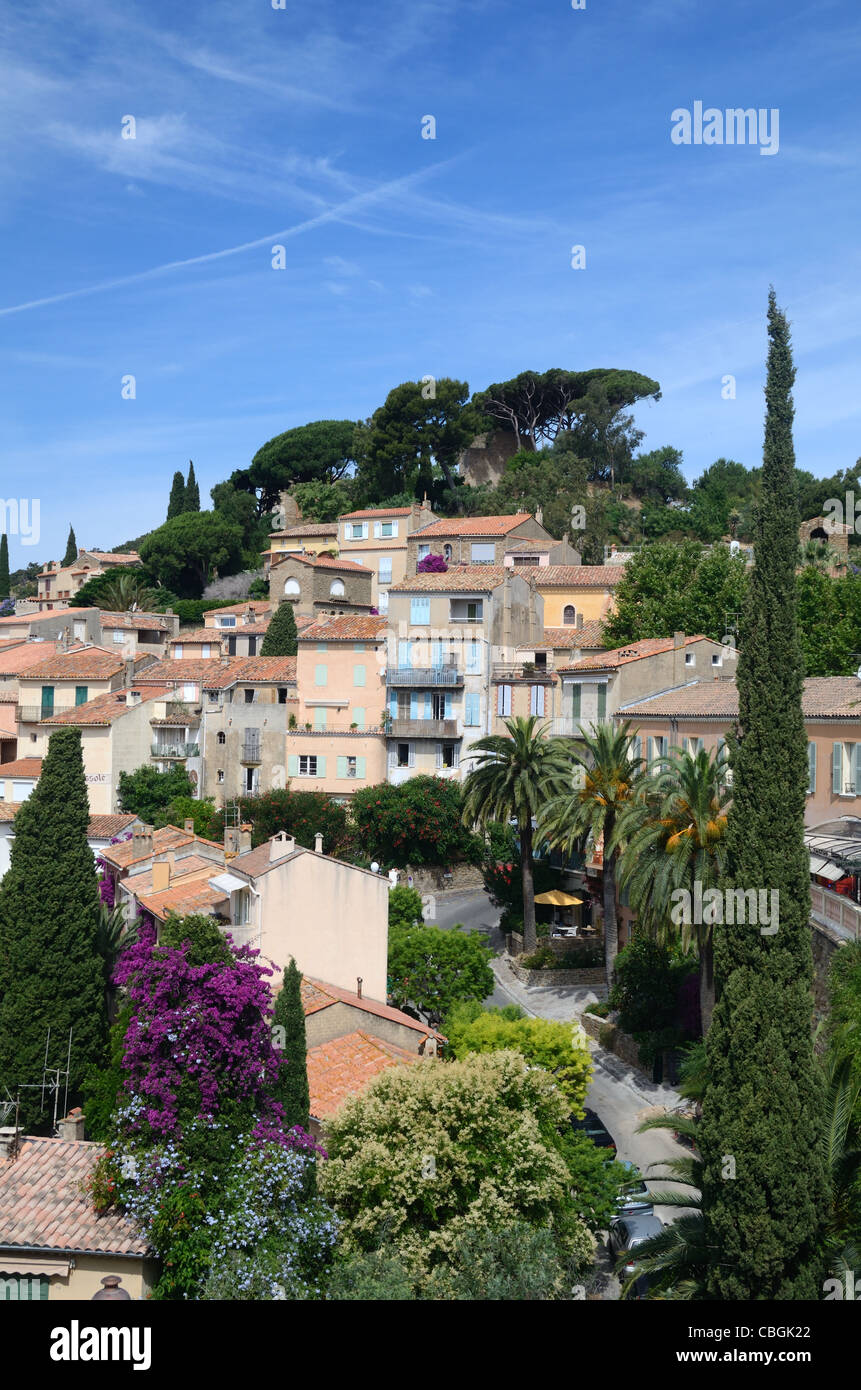 Blick auf das historische Viertel oder das alte Dorf von les Bormes-les-Mimosas & Mediterranean Cypress, Cupressus sempervirens, Var Provence Frankreich Stockfoto