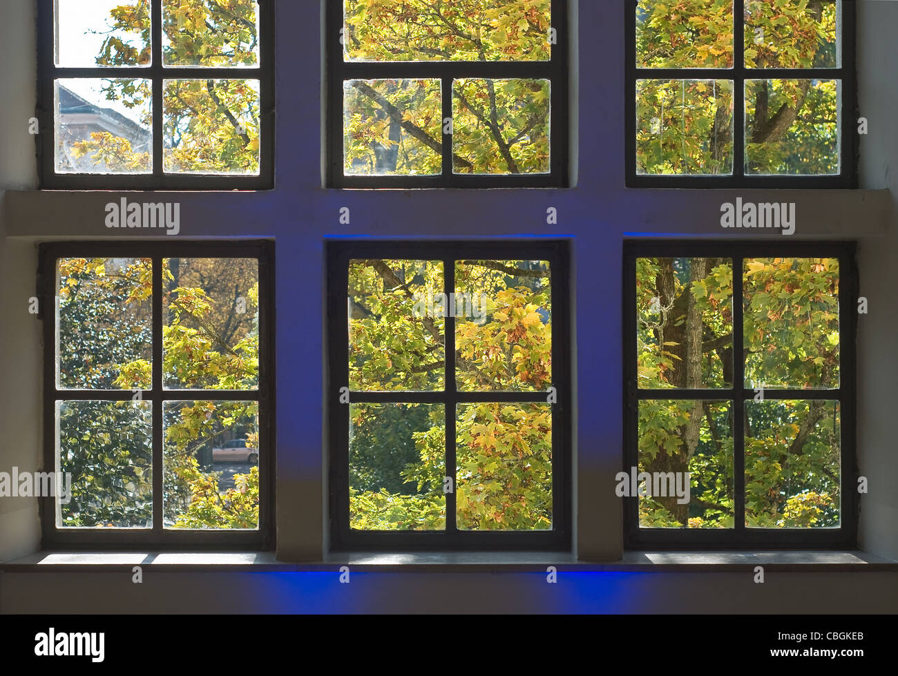 Fenster mit bunten Herbst Blätter Stockfoto