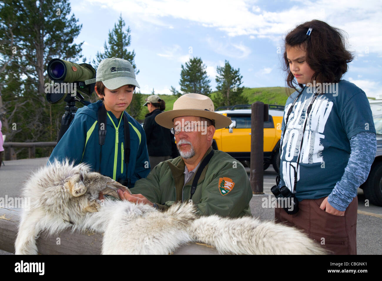 Parkranger zeigen Kinder einen Wolfspelz im Yellowstone National Park, USA. Stockfoto