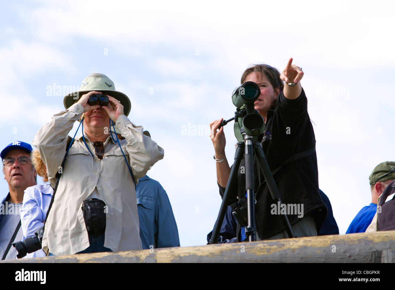 Touristen, die Wildbeobachtung im Yellowstone National Park, USA. Stockfoto