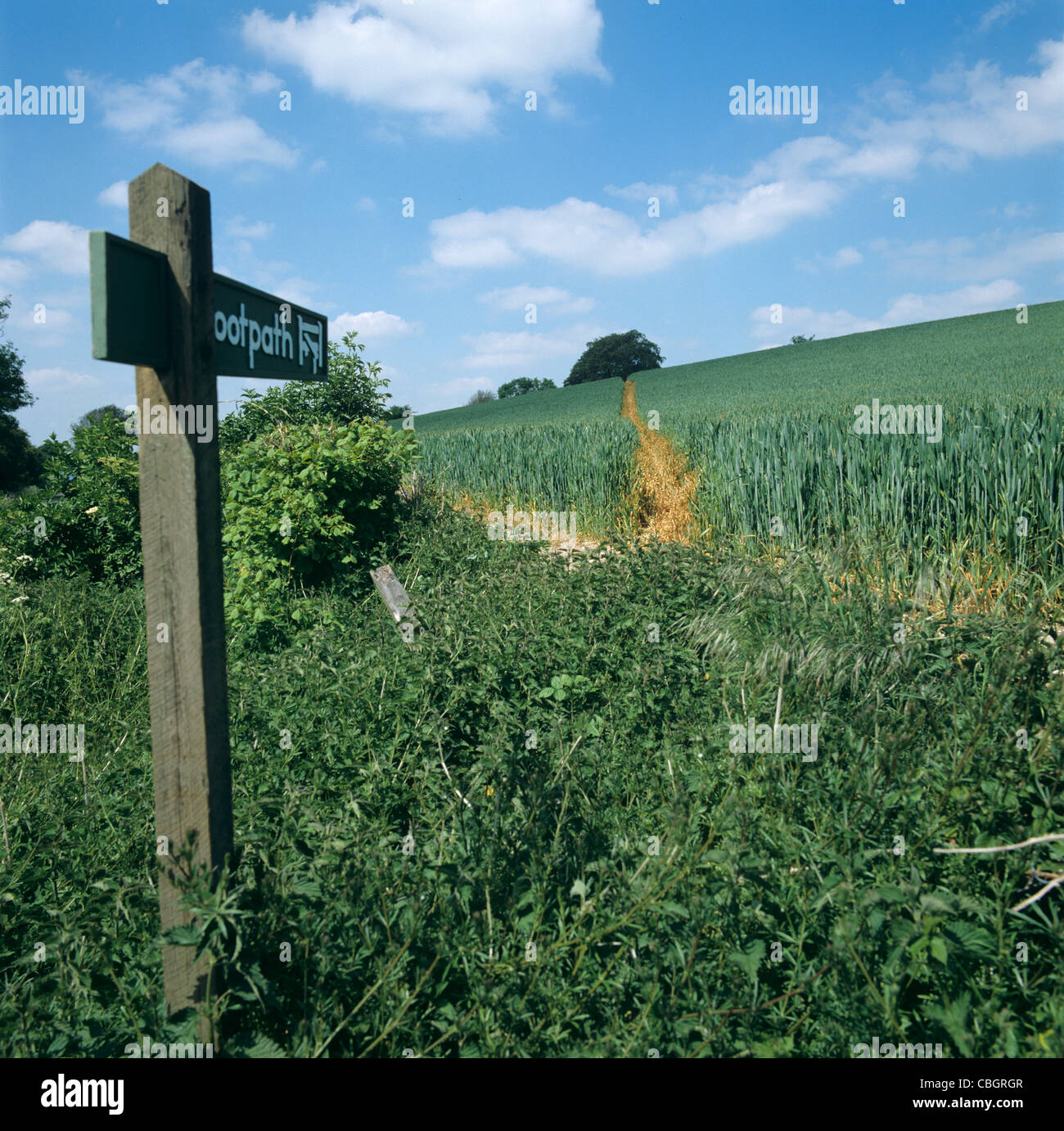 Wanderweg unterzeichnet in Richtung Herbizid gelöscht Pfad über eine Ernte von Weizen Stockfoto