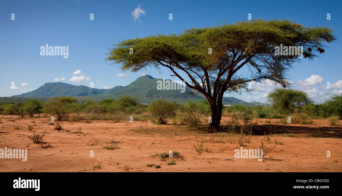 Blick auf die Sagalla Hügel im Süden Kenias in der Nähe der Stadt Voi, gesehen von der Ndara Ebene Stockfoto