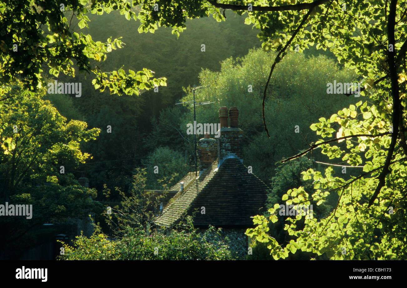 Frühling im Dorf West Dean, East Sussex, England. Stockfoto