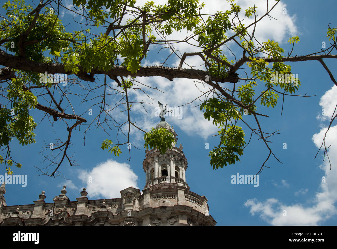 Blick durch einen Ast an der Oberseite Gran Teatro De La Havanna Theater in zentralen Havanna, Kuba Stockfoto