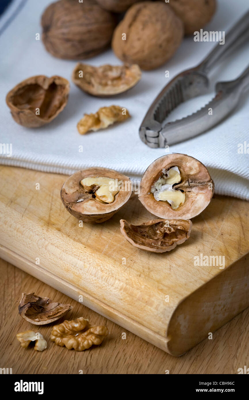 ganze Walnüsse auf einem weißen Tuch mit Nussknackern Stockfoto