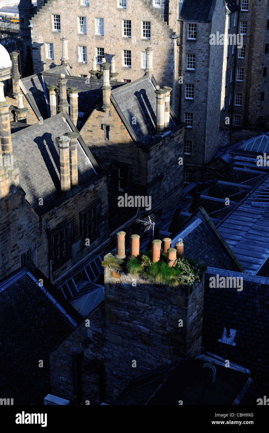 Auf dem Dach-Detail. Edinburgh, Schottland. Stockfoto