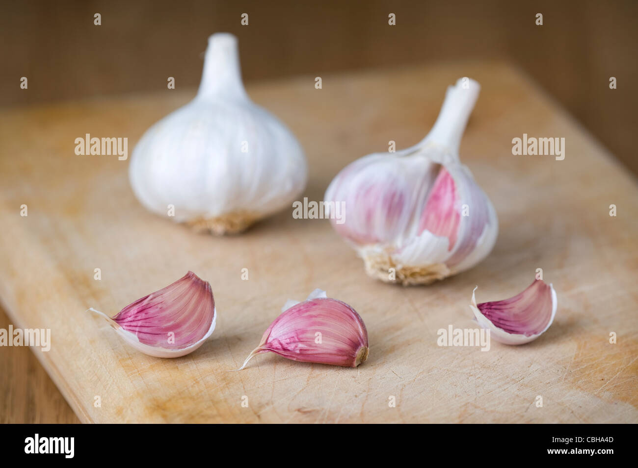 Knoblauch Zwiebeln und Knoblauchzehen auf ein Schneidbrett aus Holz Stockfoto