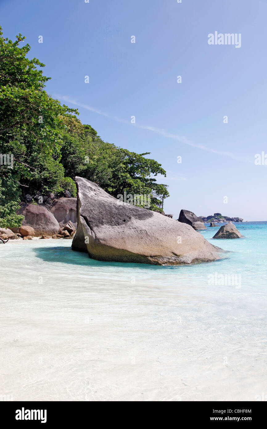 Tropischen Sandstrand Szene mit Bäumen und Felsen auf Miang Insel, Similan Inseln, Phang-Nga, in der Nähe von Phuket, Thailand Stockfoto