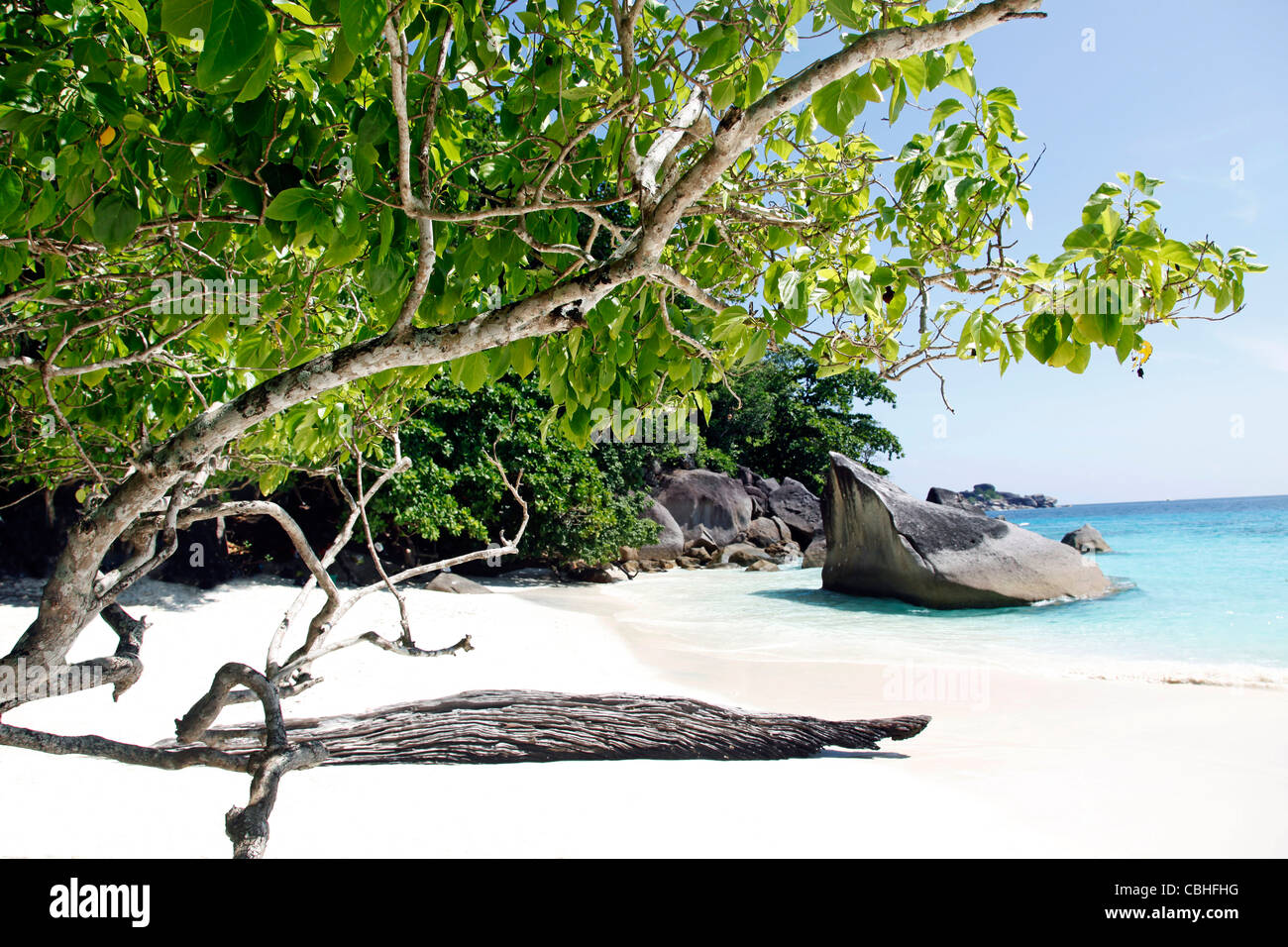 Tropischen Sandstrand Szene mit Bäumen und Felsen auf Miang Insel, Similan Inseln, Phang-Nga, in der Nähe von Phuket, Thailand Stockfoto