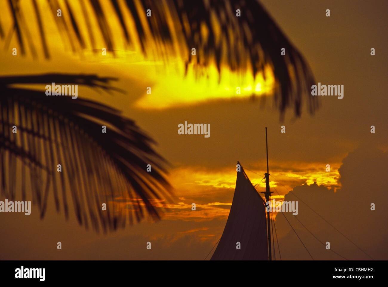 Tourenboot Segeln bei Sonnenuntergang auf Lagune Nichupté in Cancun, Mexiko Stockfoto