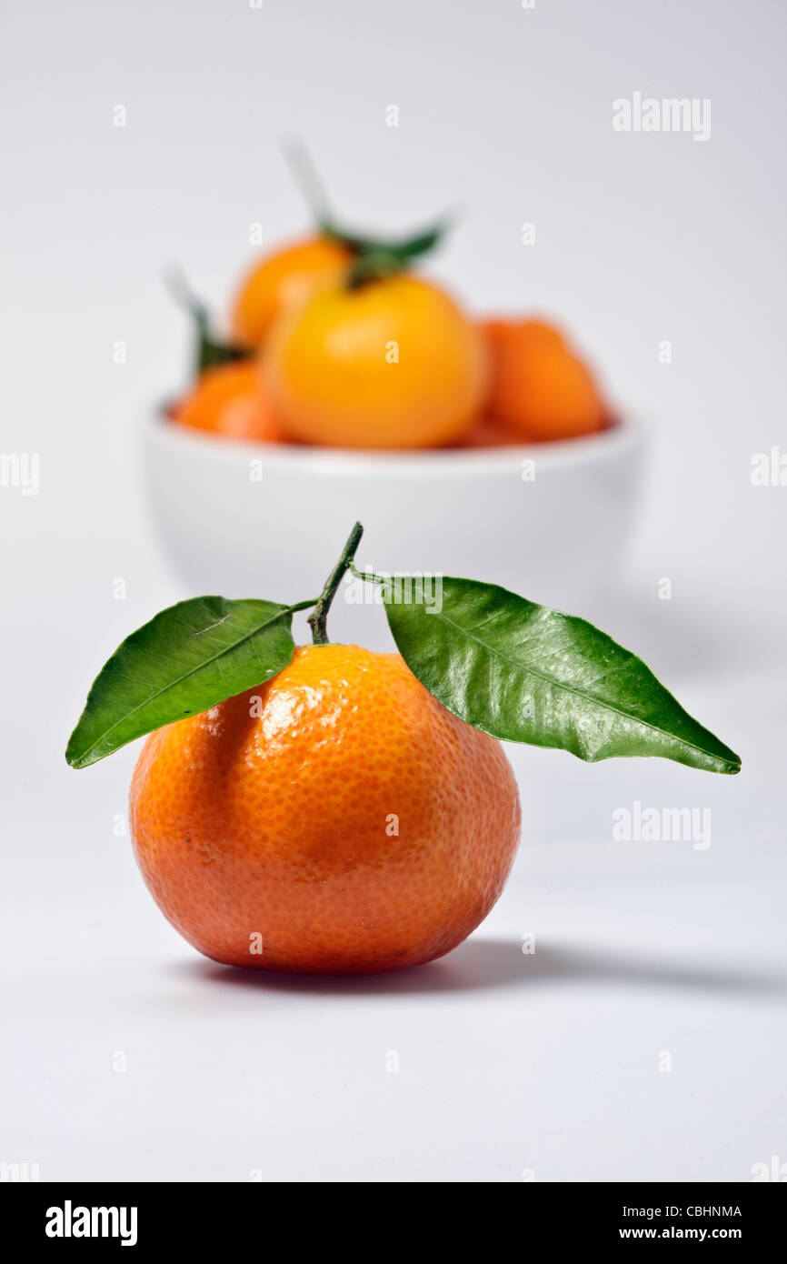 Eine Clementine mit Stamm und Blätter im Vordergrund mit einer Unschärfe weiße Schüssel Clementinen im Hintergrund Stockfoto