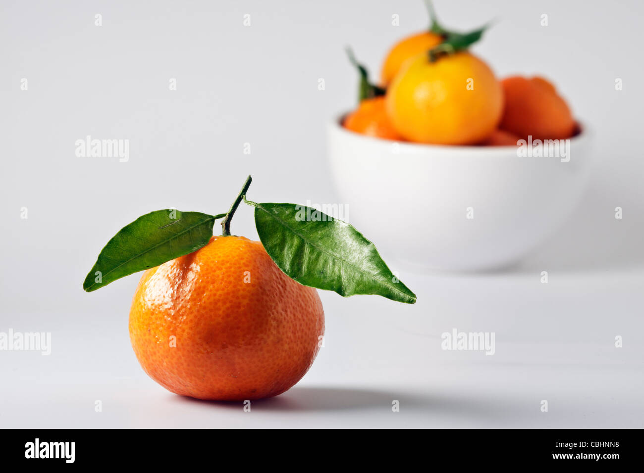 Eine Clementine mit Stammzellen und lässt neben einer weißen Schüssel Clementinen vor einem weißen Hintergrund Stockfoto