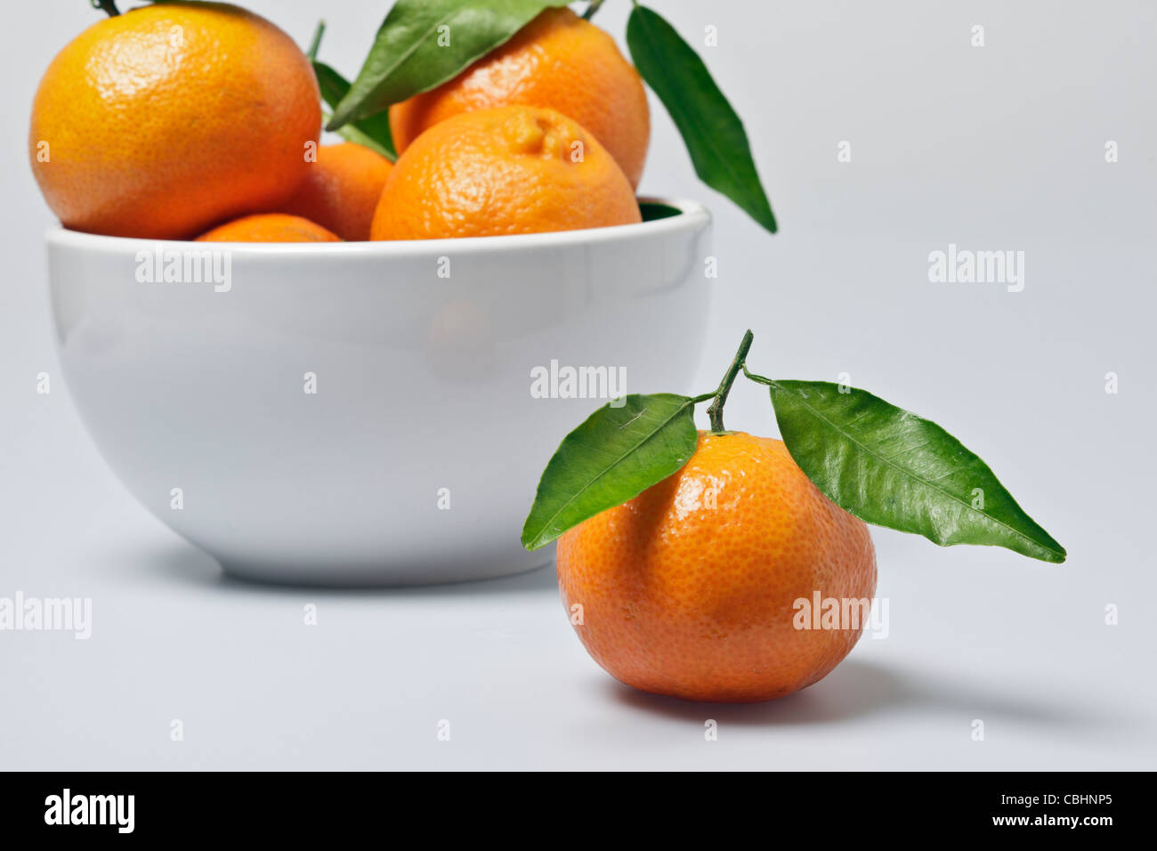 Eine Clementine mit Stammzellen und lässt neben einer weißen Schüssel Clementinen vor einem weißen Hintergrund Stockfoto