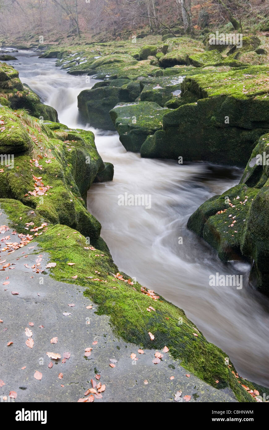 Die Strid im Herbst Stockfoto