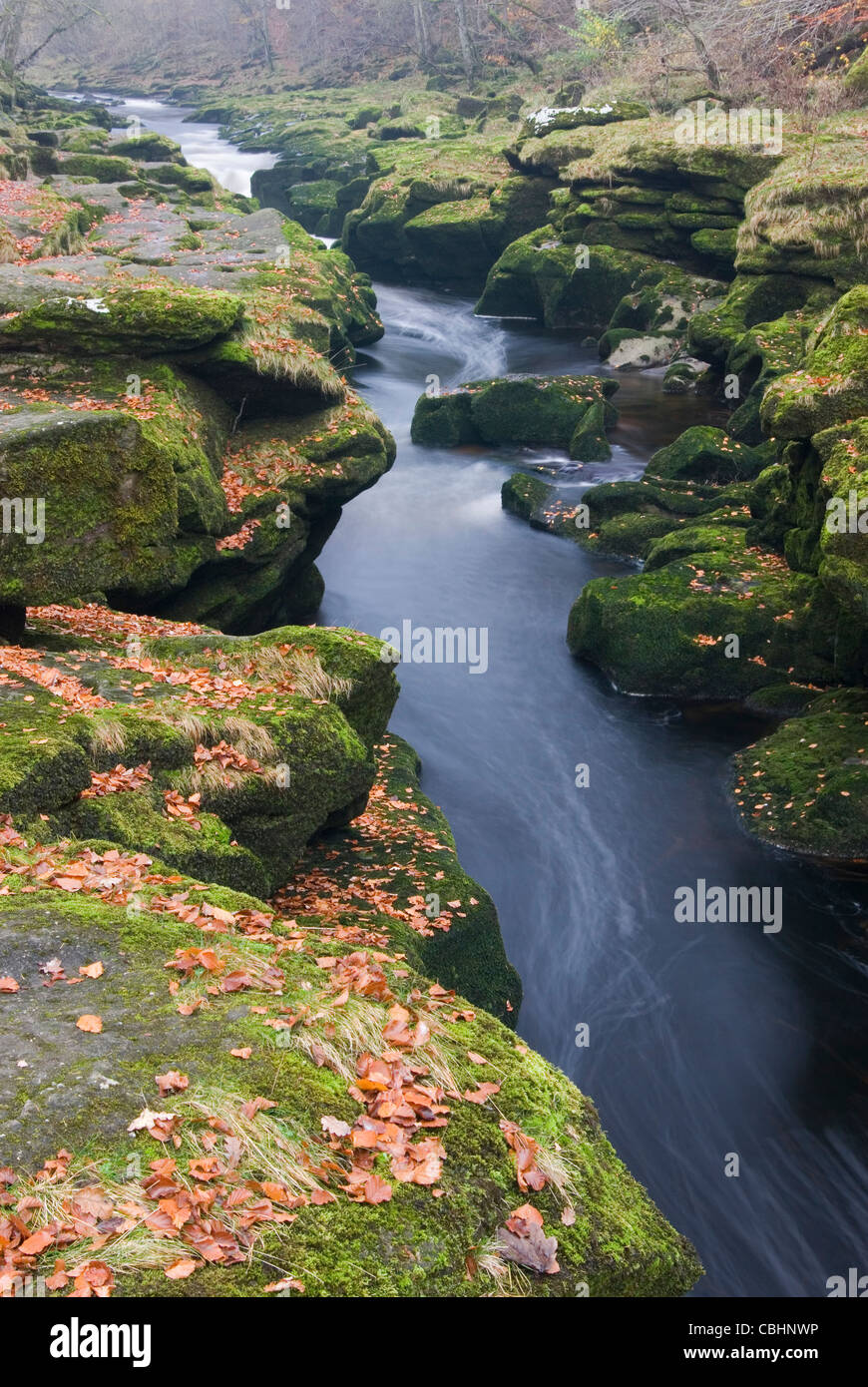 Die Strid im Herbst, Yorkshire Dales. Stockfoto