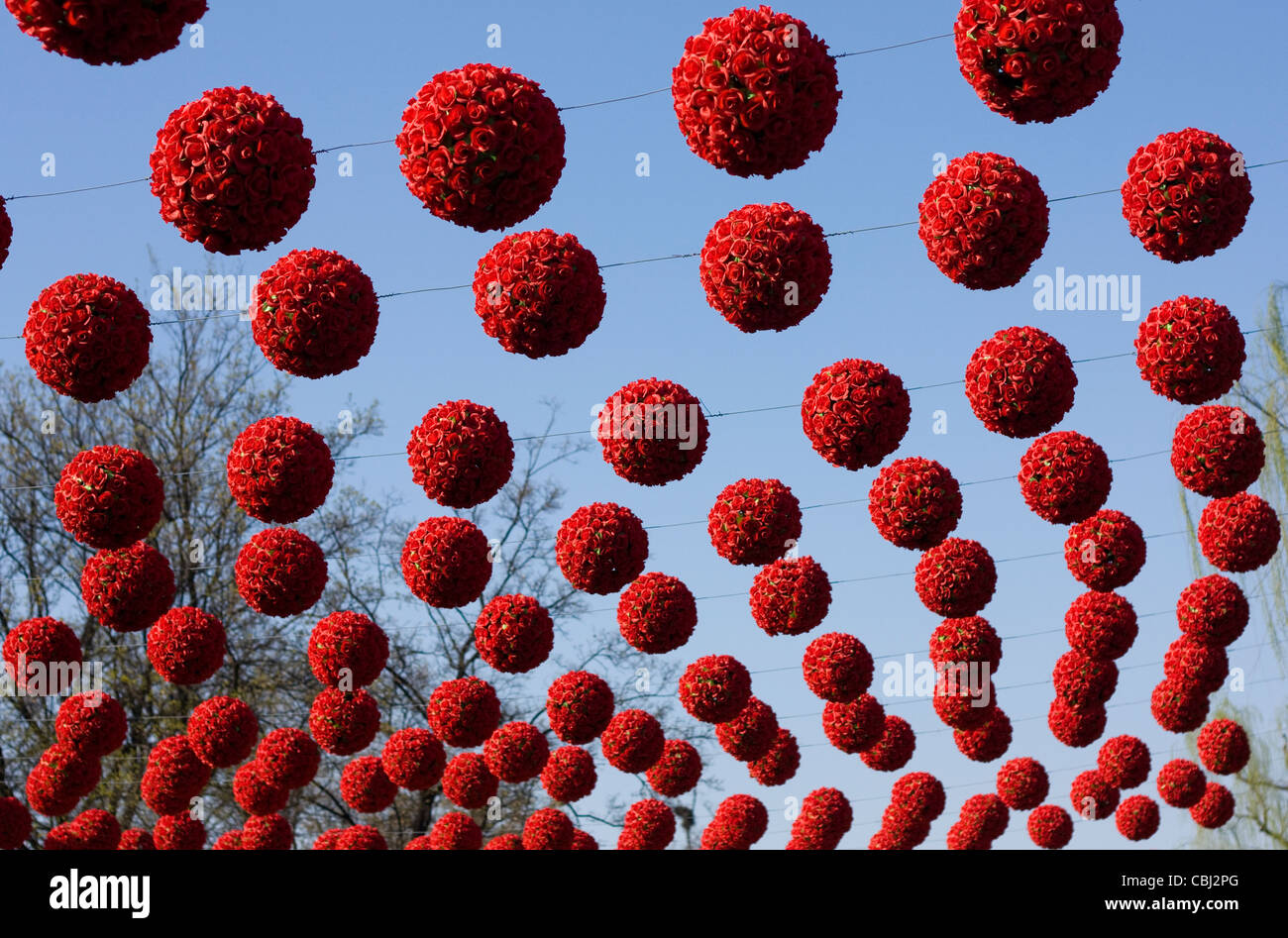 Blumen macht den Ball Stockfoto