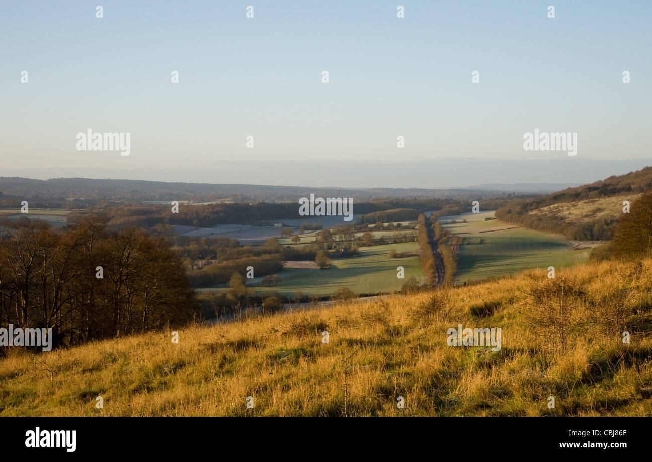 Ranmore gemeinsam mit Blick auf Dorking und Westcott in Surrey in einem Wintermorgen, Stockfoto