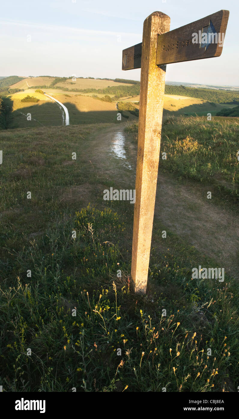 Maultierweg Wegweiser befindet sich auf der South Downs Way auf dem Beacon Hill in der Nähe von South Harting. Am späten Nachmittag im Sommer. Kreide-Pfad. Stockfoto