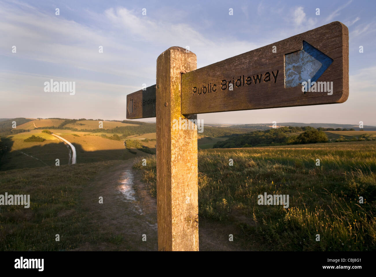 Öffentliche Maultierweg Wegweiser auf dem Beacon Hill, South Downs Way, in der Nähe von South Harting, West Sussex, England. Am späten Nachmittag. Kreide-Pfad. Stockfoto