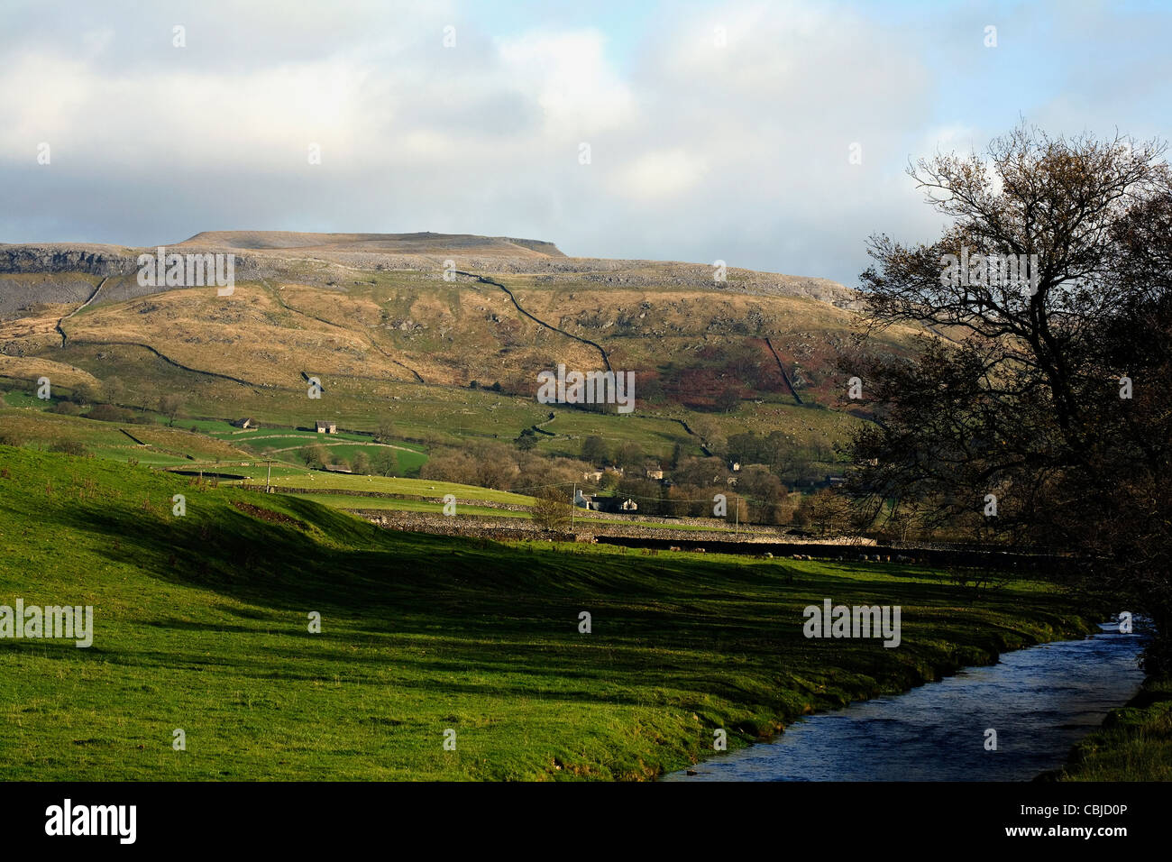 Austwick Beck mit Studrigg Narbe und lange Narbe im Hintergrund Winter Austwick Yorkshire Dales Nationalpark Englands Stockfoto