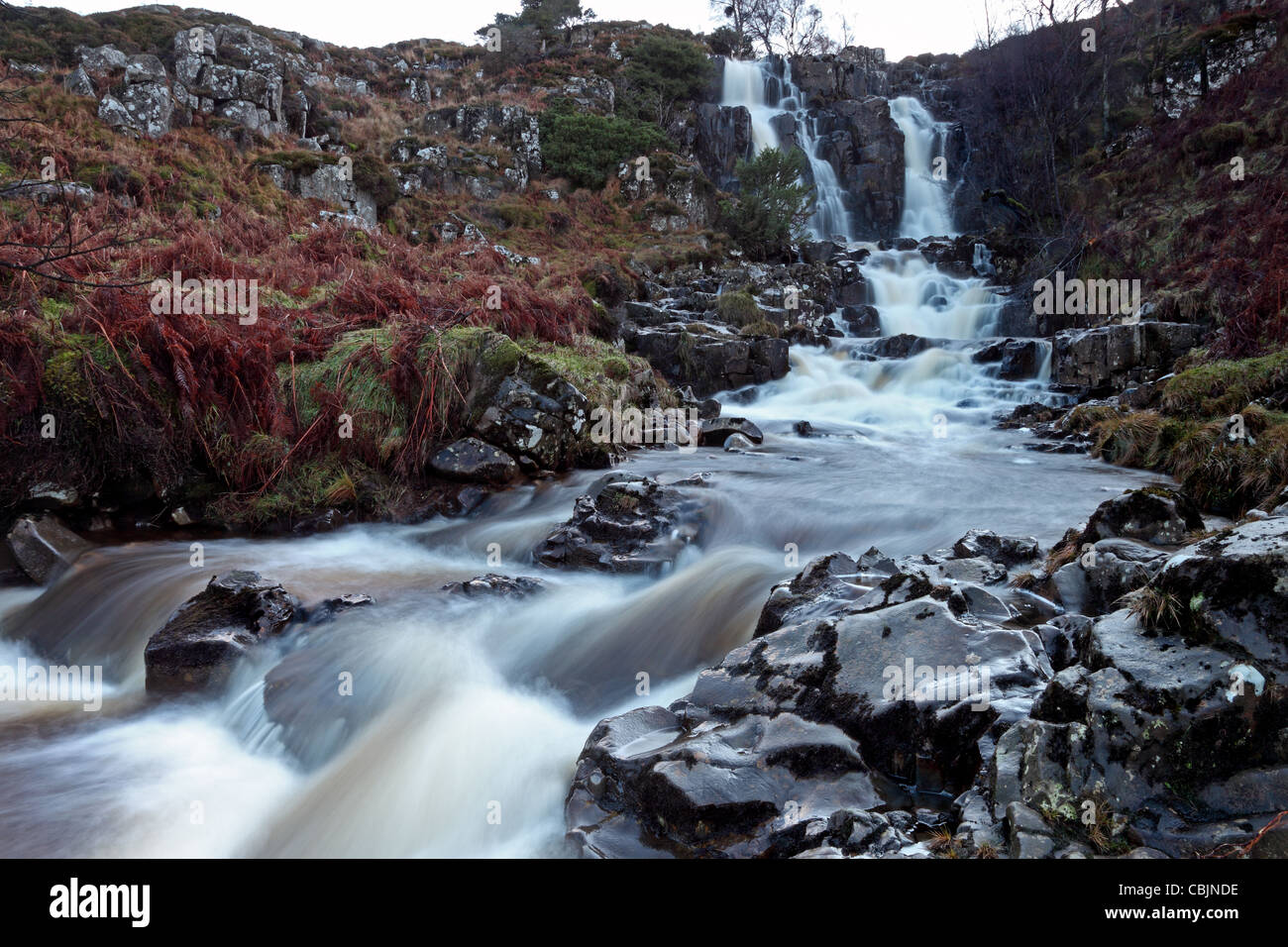 Bleabeck Force Wasserfall fließt über die Whin Sill Felsen des oberen Teesdale County Durham UK Stockfoto