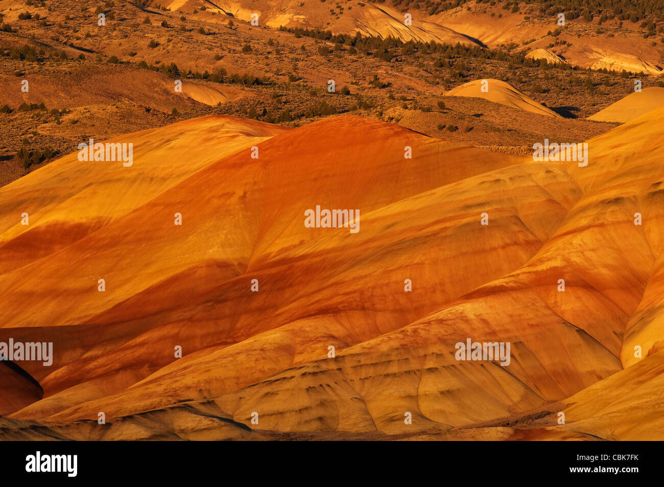 Gemalte Hügel Einheit von John Day Fossil Beds National Monument Stockfoto