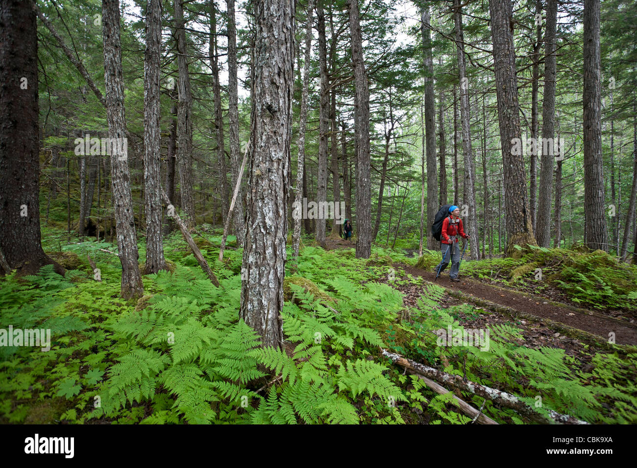 Frauen die Chilkoot Trail zu wandern. Klondike Gold Rush National Historical Park. Alaska. USA Stockfoto