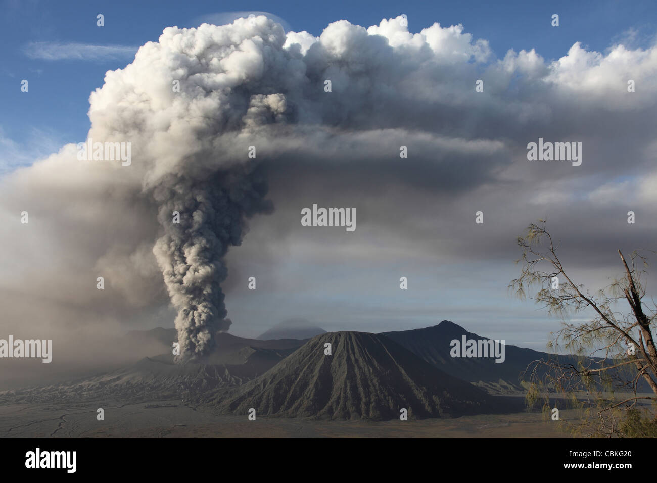 Ausbruch der Aschewolke aus dem Vulkan Mount Bromo, Tengger Caldera, Java, Indonesien. Stockfoto