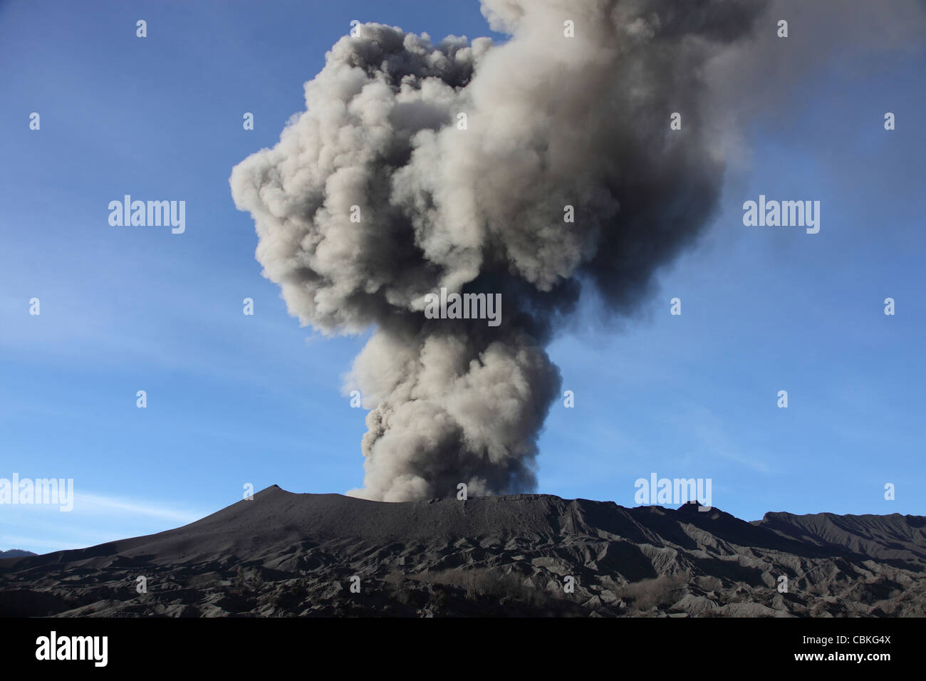 21. März 2011 - Eruption der Aschewolke aus dem Vulkan Mount Bromo, Tengger Caldera, Java, Indonesien. Stockfoto