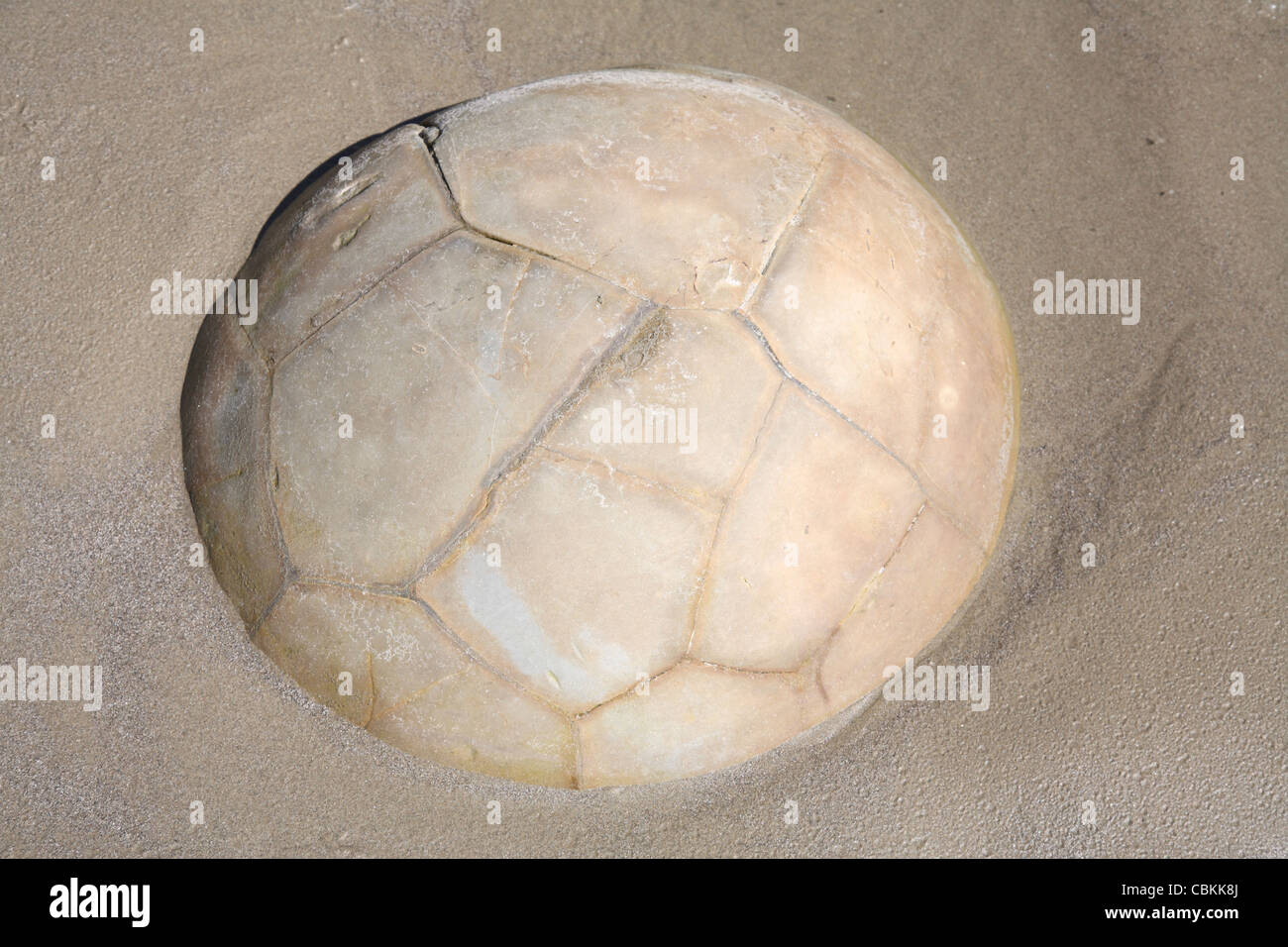 Moeraki Boulders, Koekohe Beach, Neuseeland. Stockfoto